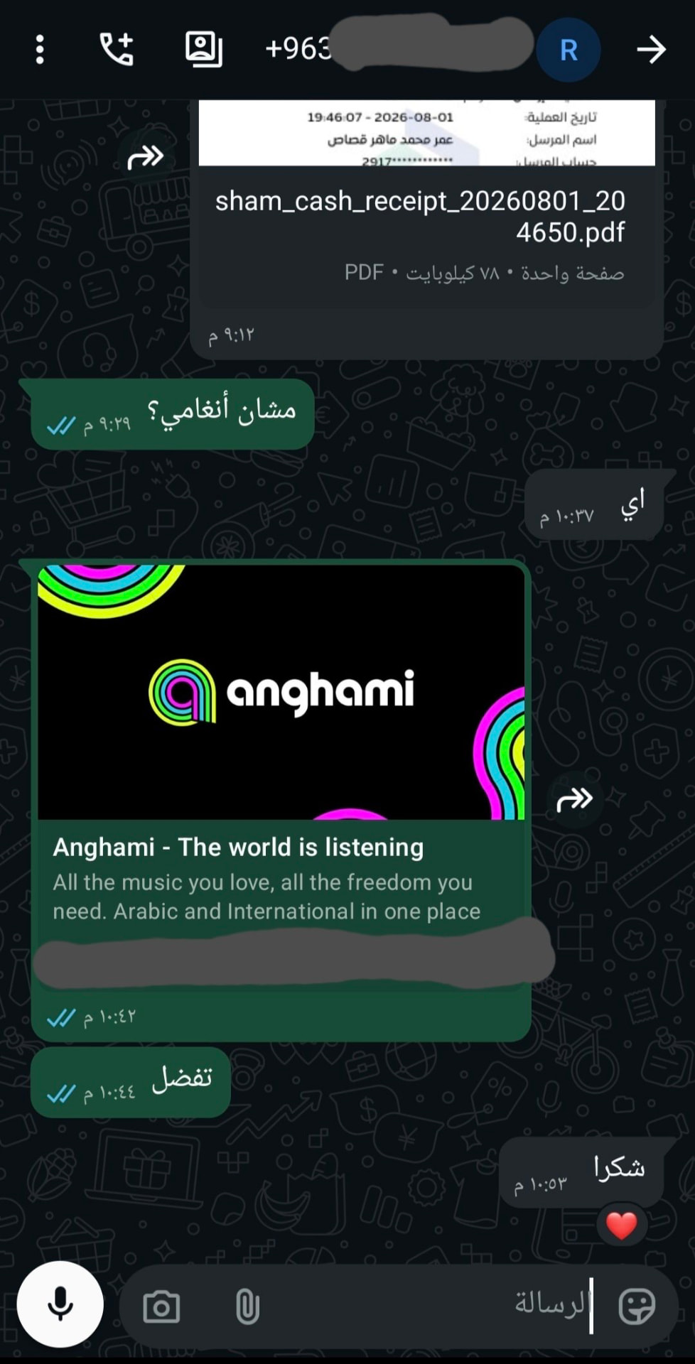 محادثة واتساب توثق تفعيل اشتراك لأحد عملاء Aleso Store